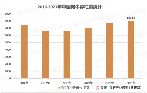 山东最大养殖肉牛_山东肉牛养殖致富_山东肉牛养殖补贴政策