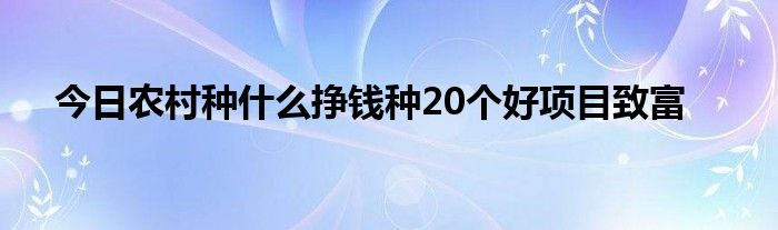 夜晚种植致富项目_农民种植致富好项目_孝感农业致富种植各种水果网