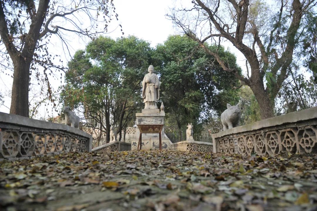 西瓜种植铺就致富路_淅川种植西瓜致富_西瓜种植大户新闻