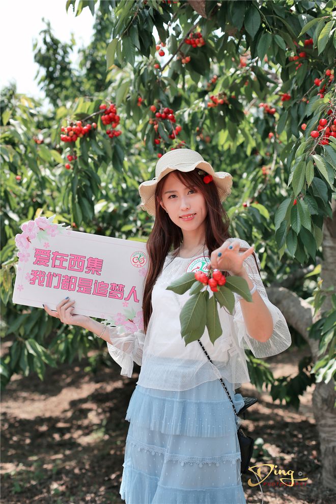 致富经樱桃_致富经北京大樱桃_致富经樱桃种植视频