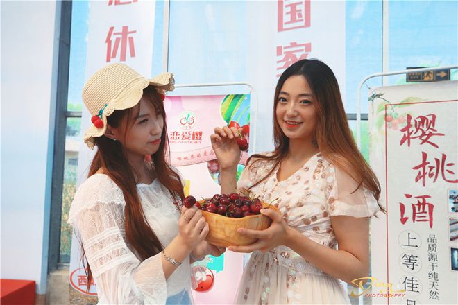 致富经北京大樱桃_致富经樱桃种植视频_致富经樱桃