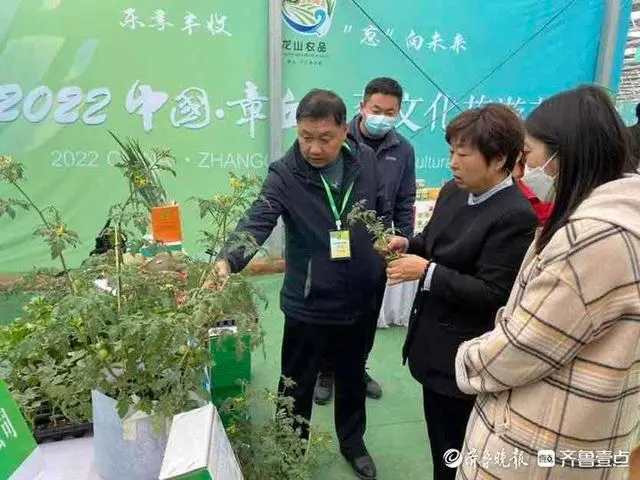 种植大葱视频教程_大葱种植技术视频教程_大葱种植致富视频