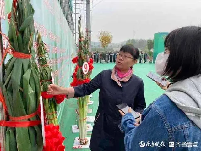 大葱种植致富视频_大葱种植技术视频教程_种植大葱视频教程