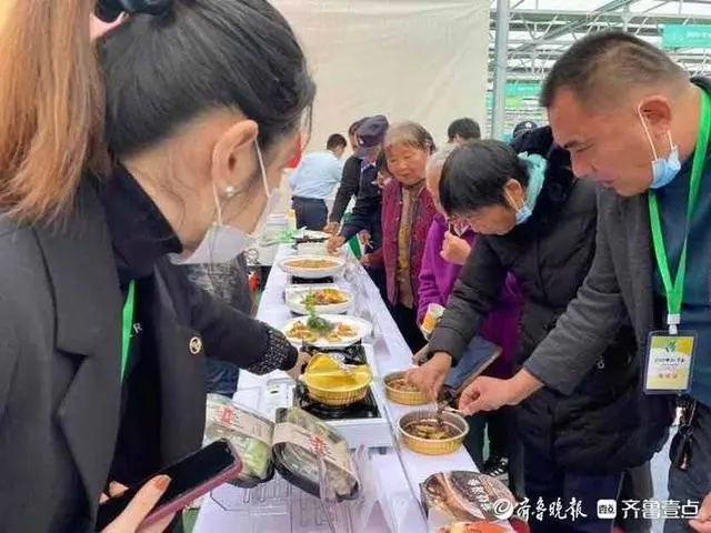 大葱种植技术视频教程_大葱种植致富视频_种植大葱视频教程