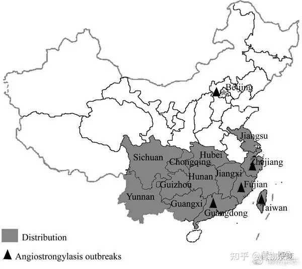 致富经养螺_致富经养殖海螺视频_养殖致富螺