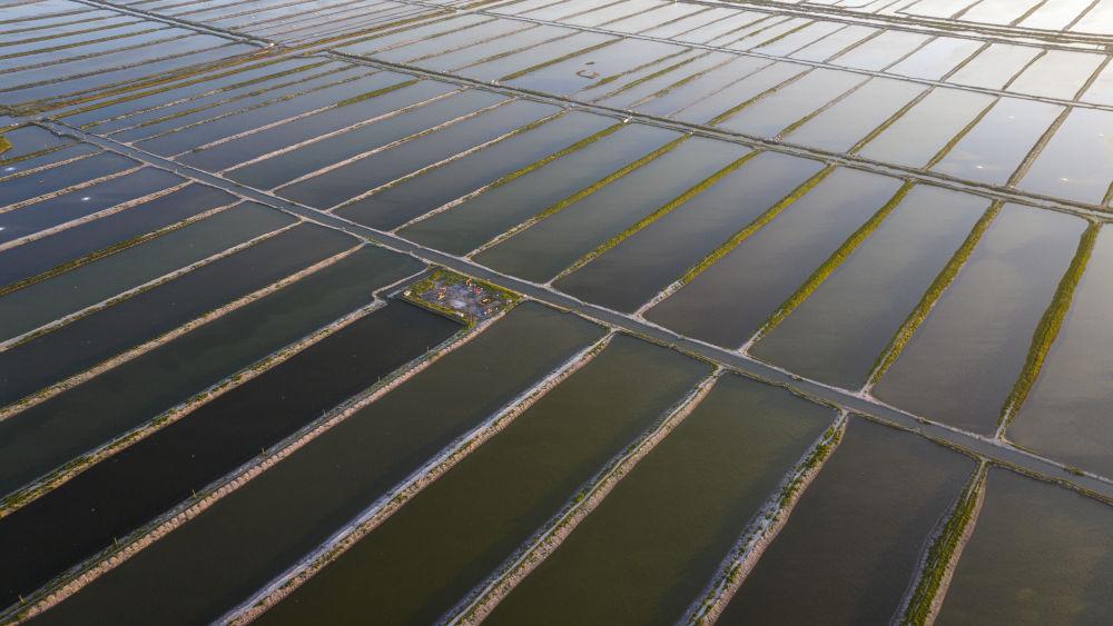 淡水养殖基地_河北淡水养殖致富_河北淡水鱼养殖基地