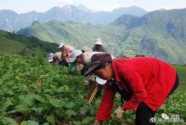 致富养殖好项目大全_大户养殖致富视频_养殖视频致富经