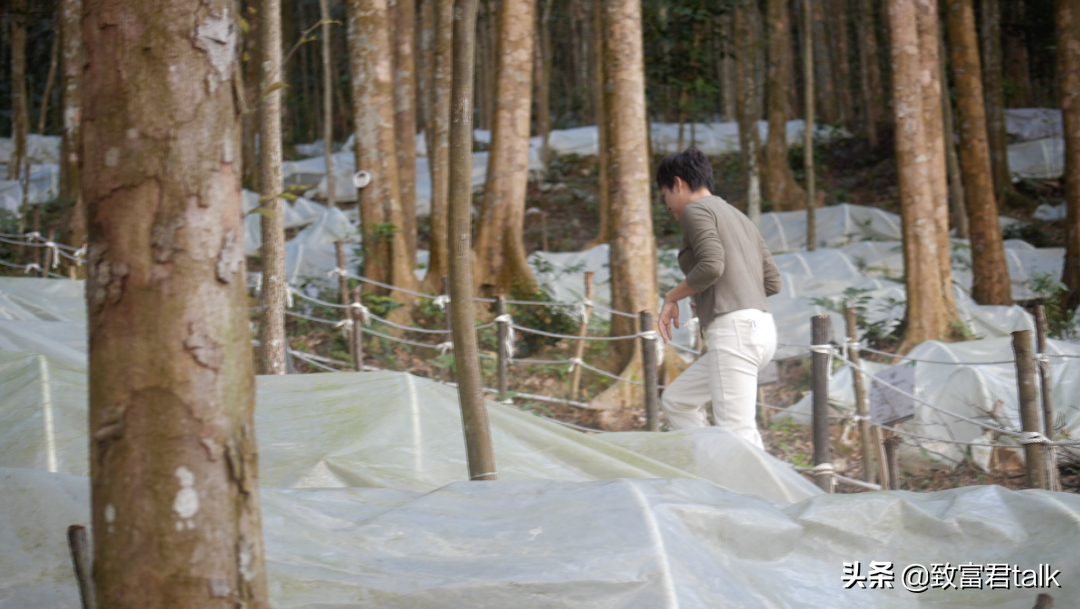 致富经野猪养殖视频全集_致富经野猪配家猪_致富经 湖北野猪