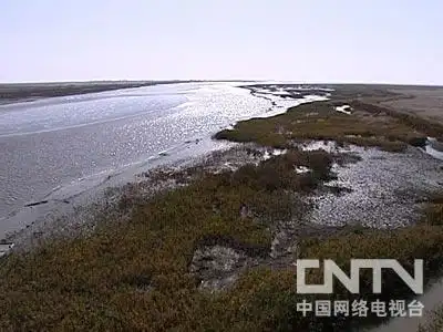 致富经 女强人苦盼三年的财富巨变 - 农业天地 - 农业天地的博客