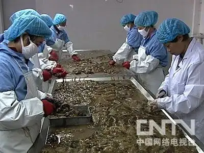 致富经 女强人苦盼三年的财富巨变 - 农业天地 - 农业天地的博客