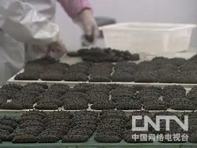 致富经 女强人苦盼三年的财富巨变 - 农业天地 - 农业天地的博客