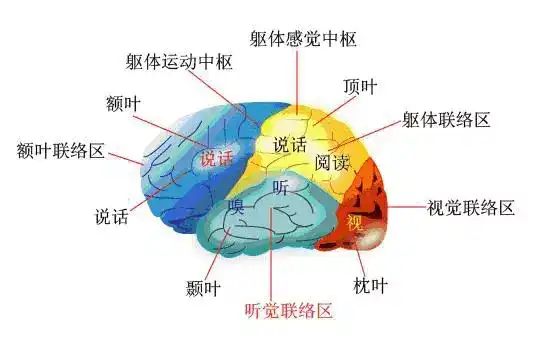 娱乐领域优质回答经验_优质娱乐领域创作者收益_优质娱乐领域创作者