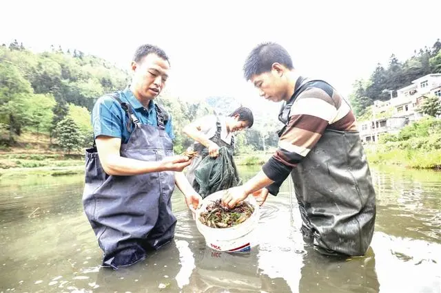 养殖致富之路_致富养殖好项目大全_养殖助民致富