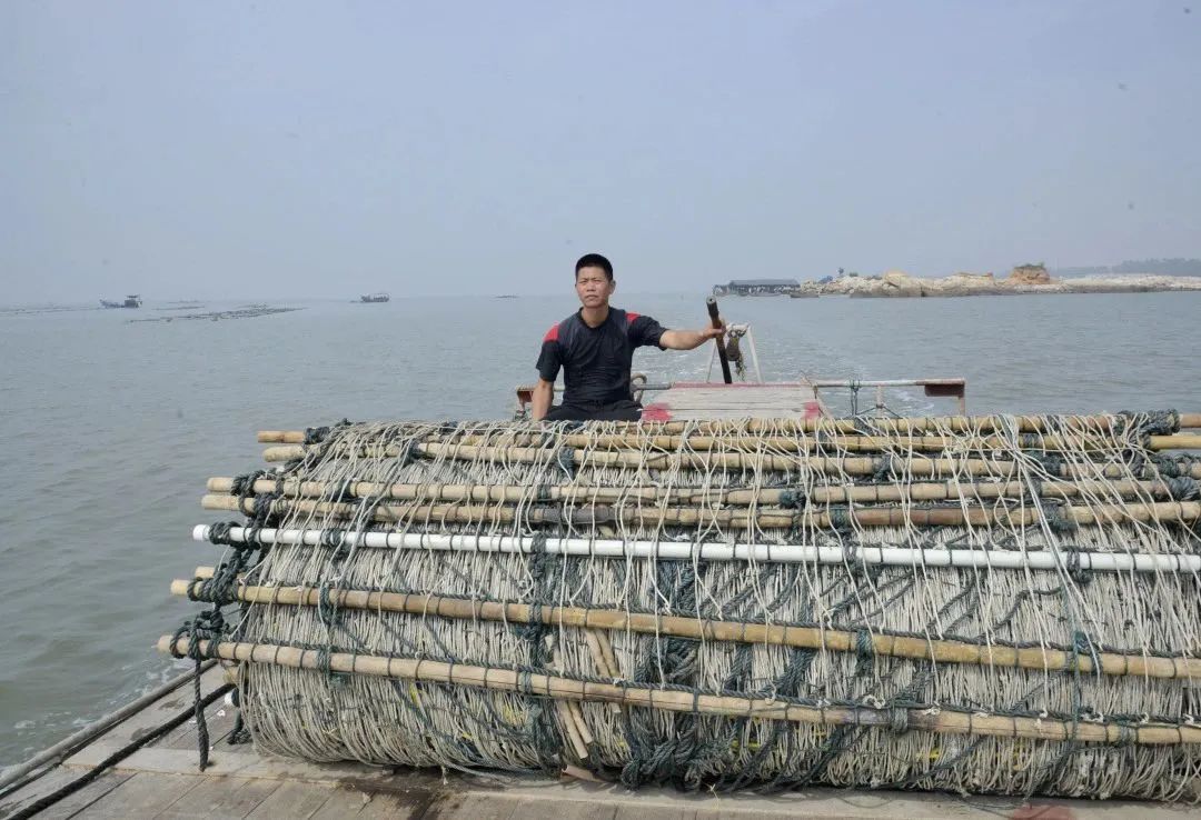 养殖助民致富_致富经养殖业_致富养殖业