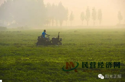 花生种植如何致富_花生种植如何致富_花生种植如何致富