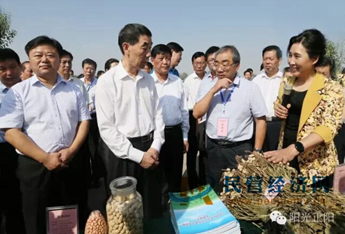 花生种植如何致富_花生种植如何致富_花生种植如何致富