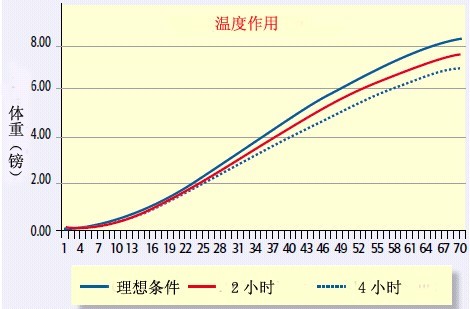 笼养肉鸡通风管理_通风养殖肉鸡管理技术规范_肉鸡养殖通风 管理技术