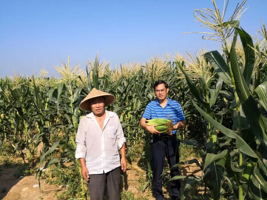 致富蜗牛养殖能否赚到钱_蜗牛养殖能否致富_养蜗牛能致富吗