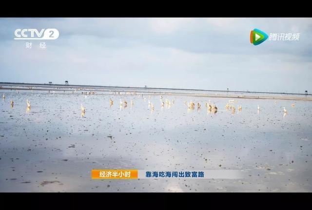 央视“曝光”！海鸭蛋富得流油，这油到底从何而来，你还在吃吗？