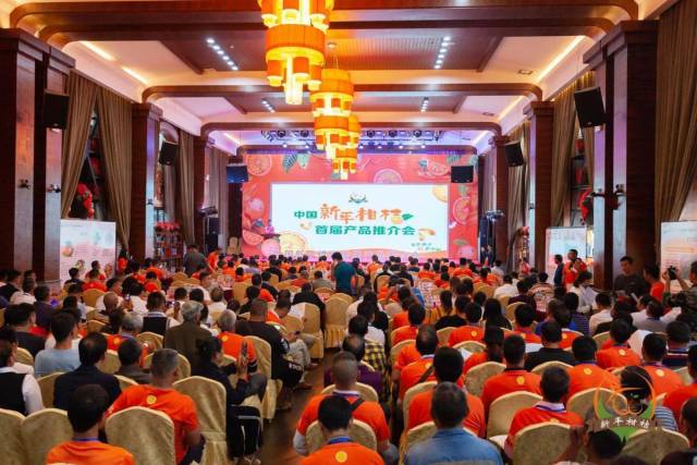农业种植柑桔致富_种植柑橘赚钱吗_致富种植农业柑桔视频