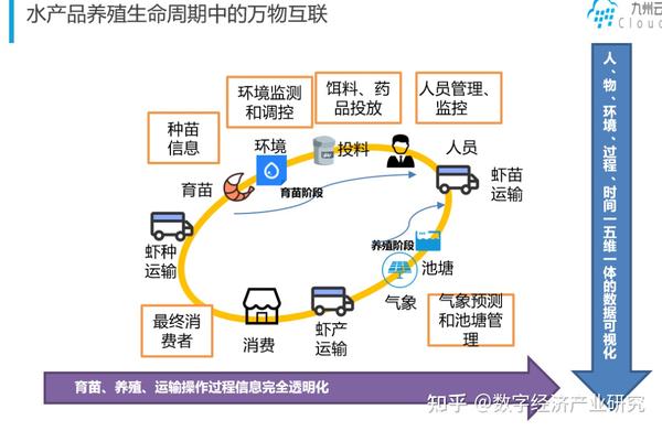 水产养殖技术路线_养殖水产路线技术研究_水产养殖过程