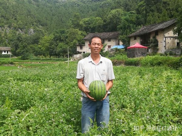 种植致富的野果_种植野果前景如何_致富种植野果的句子