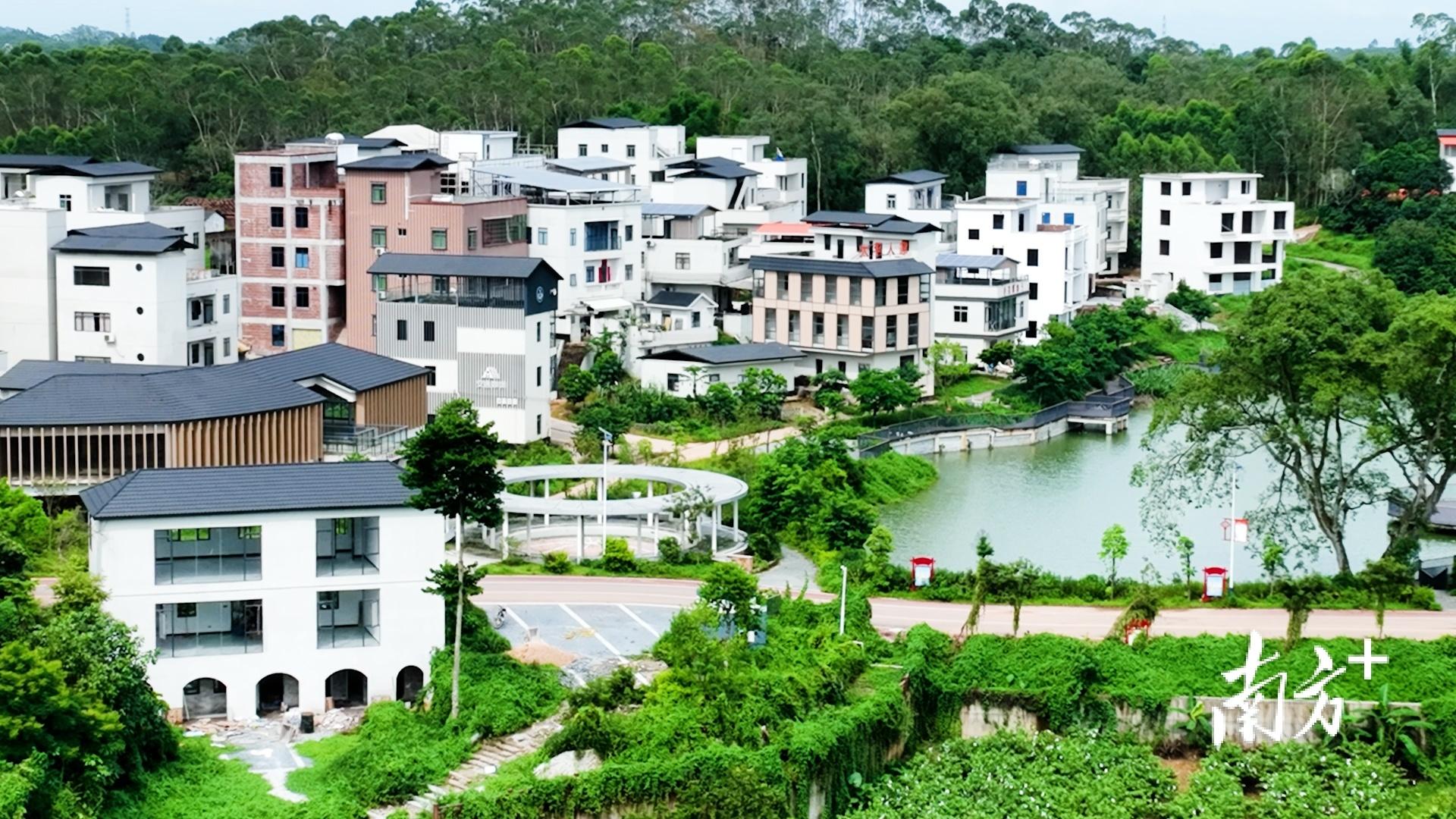 橘红种植基地_种植橘红引领致富_致富引领种植橘红的句子