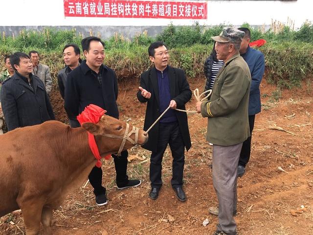 省就业局肉牛养殖项目交接暨“挂包帮”年终岁末送温暖走访活动