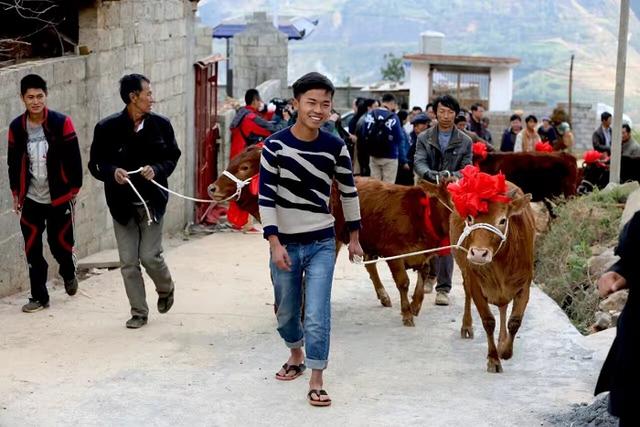 省就业局肉牛养殖项目交接暨“挂包帮”年终岁末送温暖走访活动