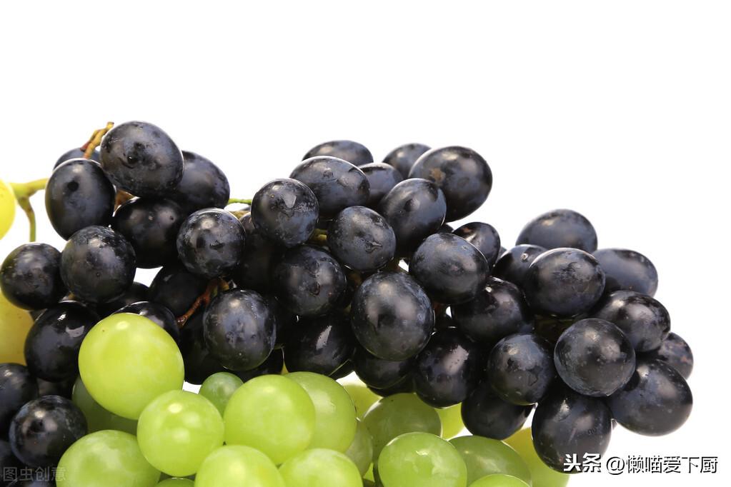 提子品种与种植技术_种提子的条件_提子种植管理技术