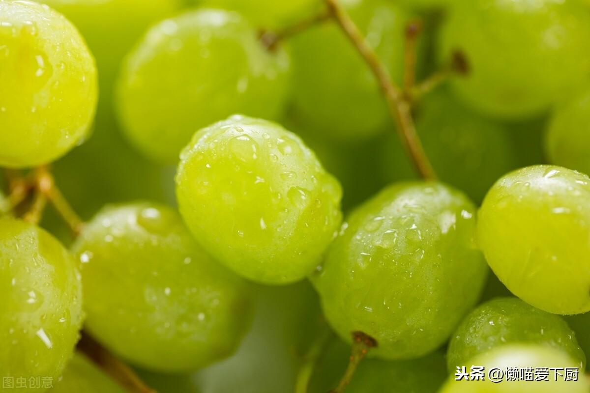 种提子的条件_提子种植管理技术_提子品种与种植技术