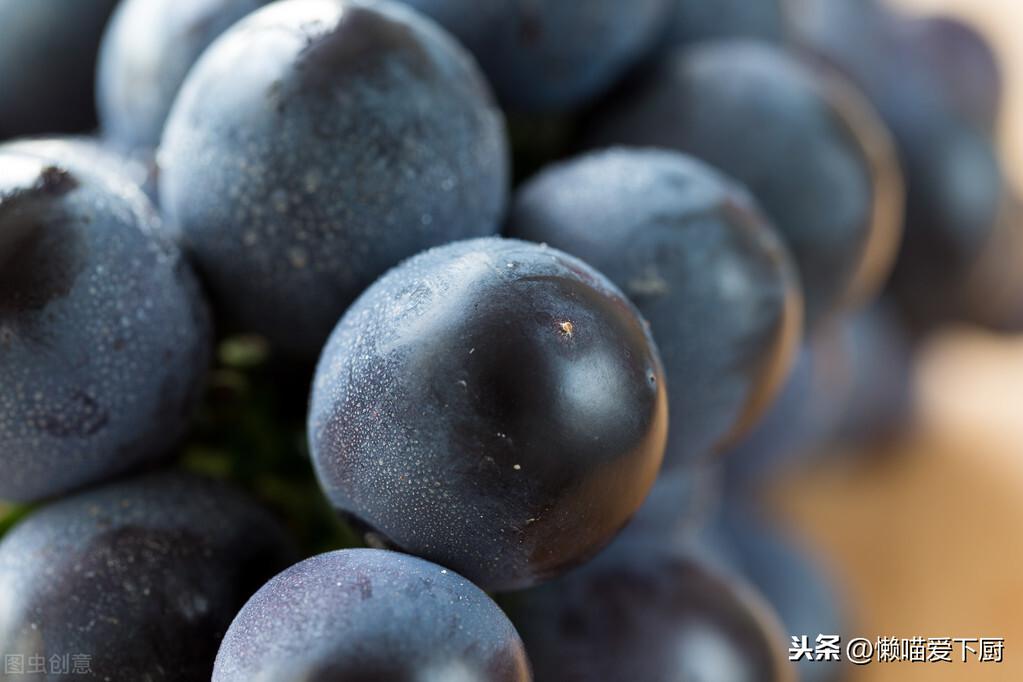 提子种植管理技术_种提子的条件_提子品种与种植技术