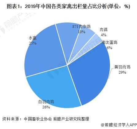 2020年中国禽类养殖行业发展现状分析 鸡类养殖规模优势明显