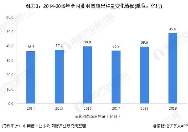 致富经2018年全集视频养鸡_致富经2019年全集养鸡_致富经2018年全集蛋鸡