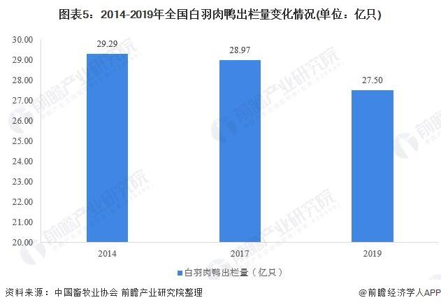 致富经2018年全集视频养鸡_致富经2018年全集蛋鸡_致富经2019年全集养鸡