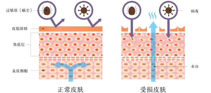 优秀店家分享怎么介绍_商户经验分享_优质商家经验分享