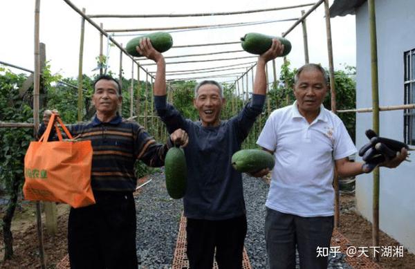 农致富项目_致富生态平台_致富经生态农庄