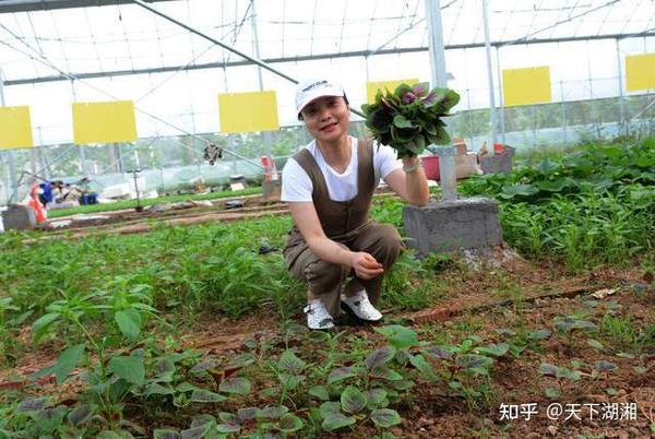 致富生态平台_致富经生态农庄_农致富项目