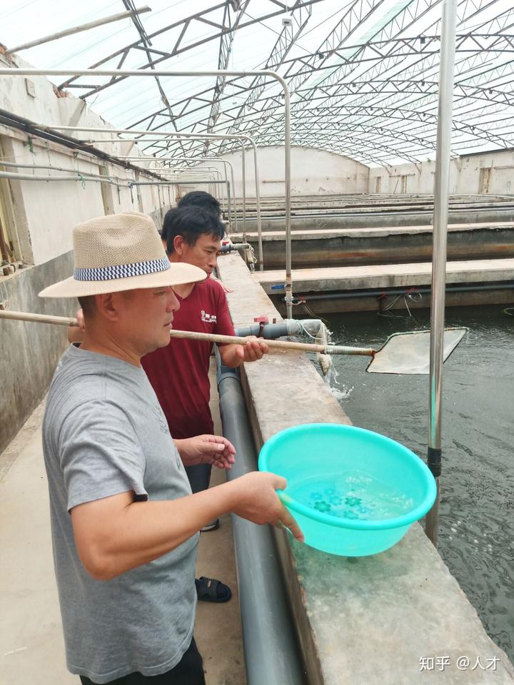 视频致富养草鱼是真的吗_致富经养草鱼视频_视频致富养草鱼大全