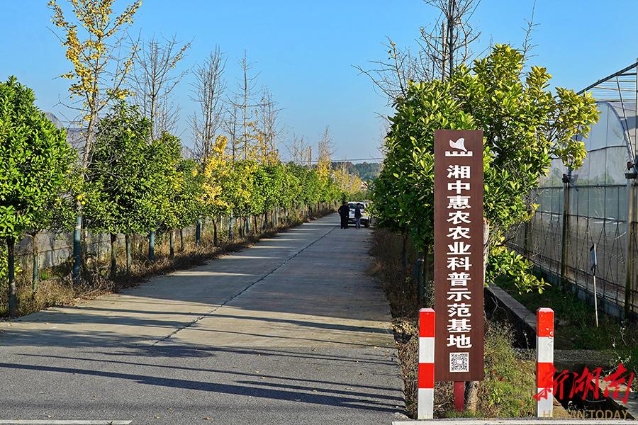 冬瓜技术种植视频_种植冬瓜挣钱吗_种植冬瓜致富视频