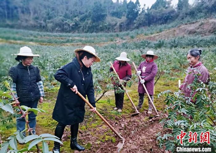 吉春梅带头为基地除草整理水沟。　李同周 摄