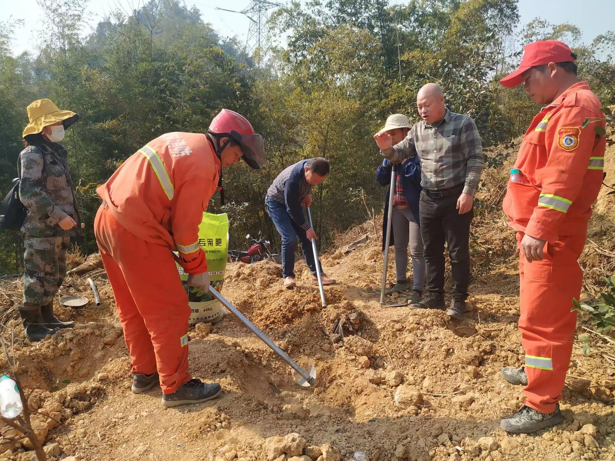 种植岗梅致富吗_种植致富经_致富种植视频全集