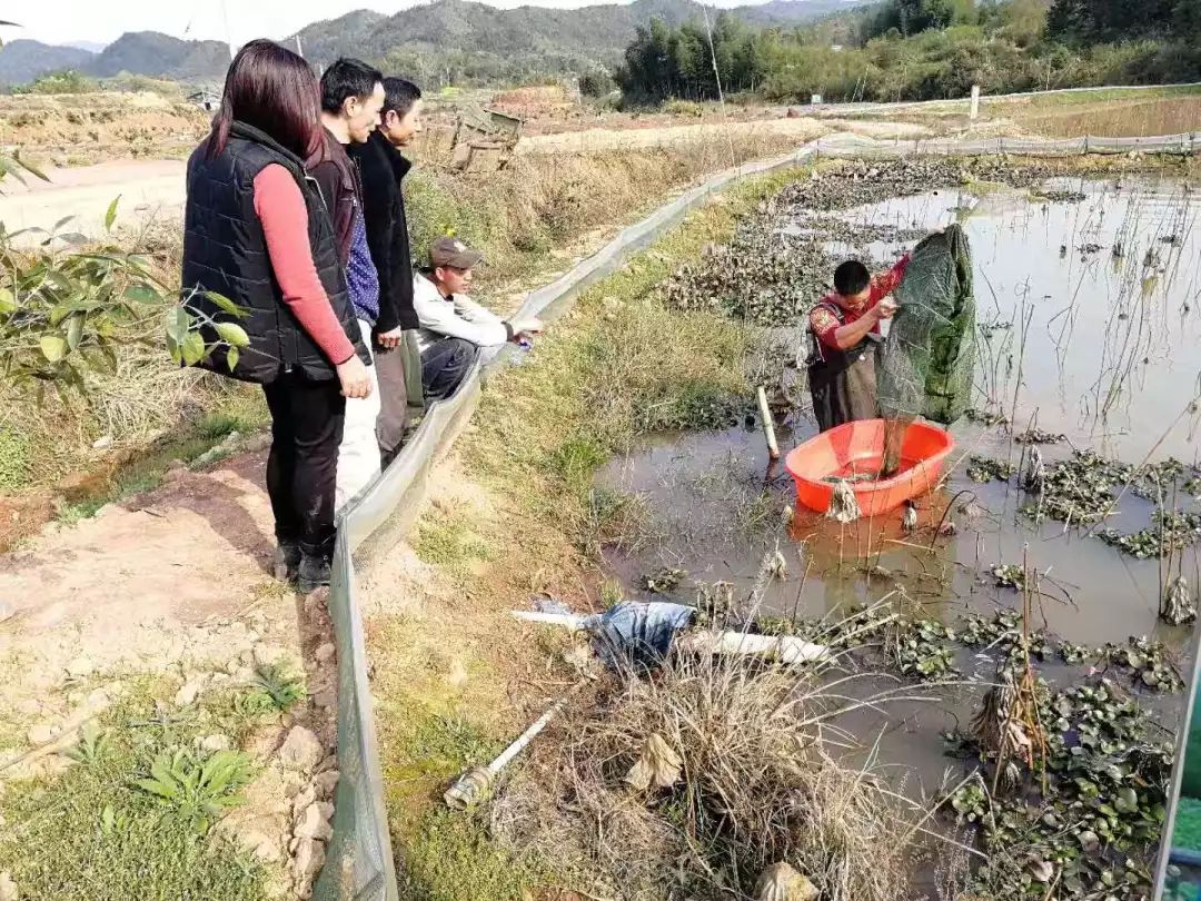 湖北养殖致富故事_农村养殖致富故事_养殖视频致富经