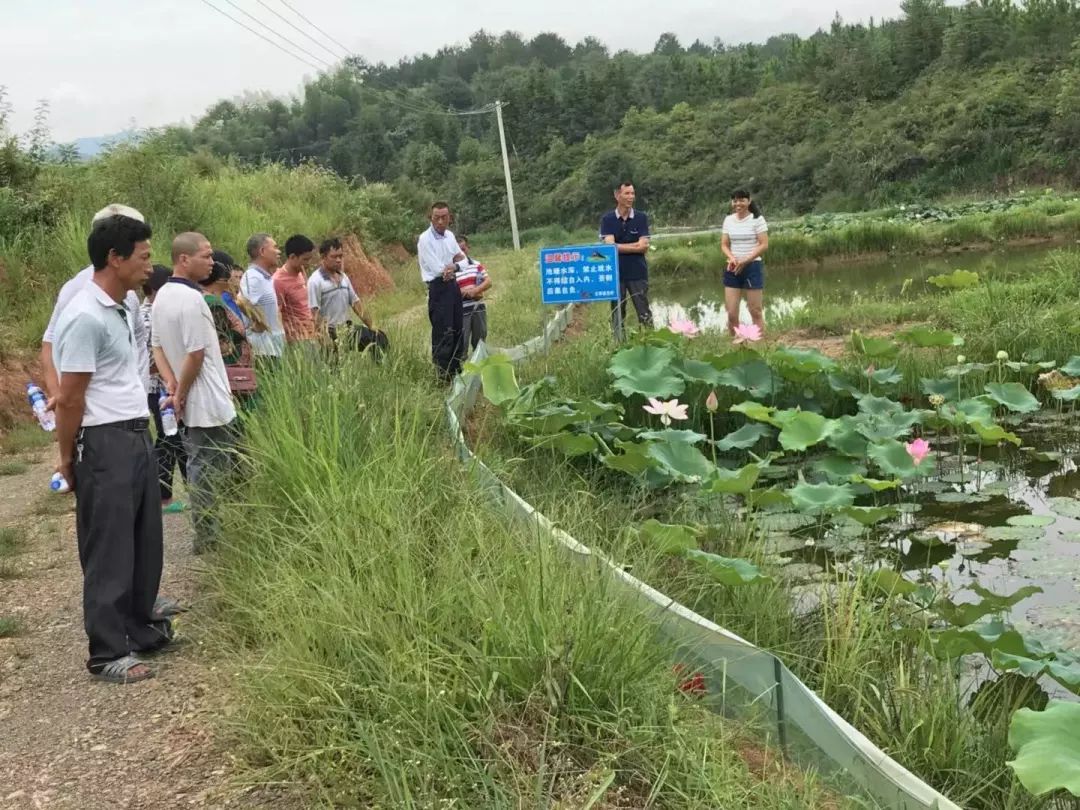 农村养殖致富故事_湖北养殖致富故事_养殖视频致富经