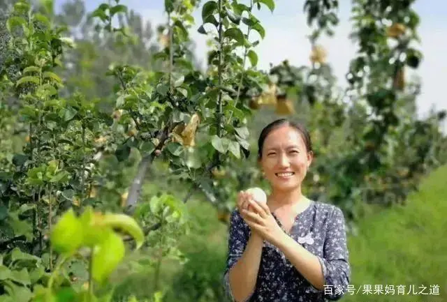 致富经植物养猪_致富养猪植物图片大全_养猪的植物