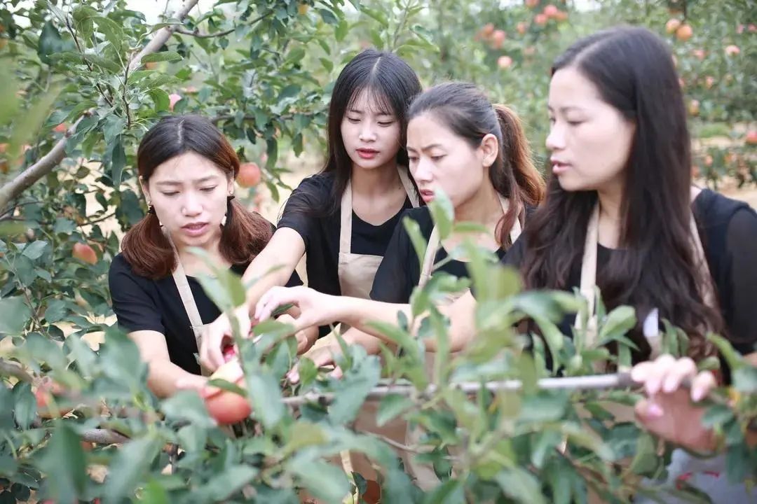 农村种植致富好项目_蓬莱种植致富_种植致富宝典