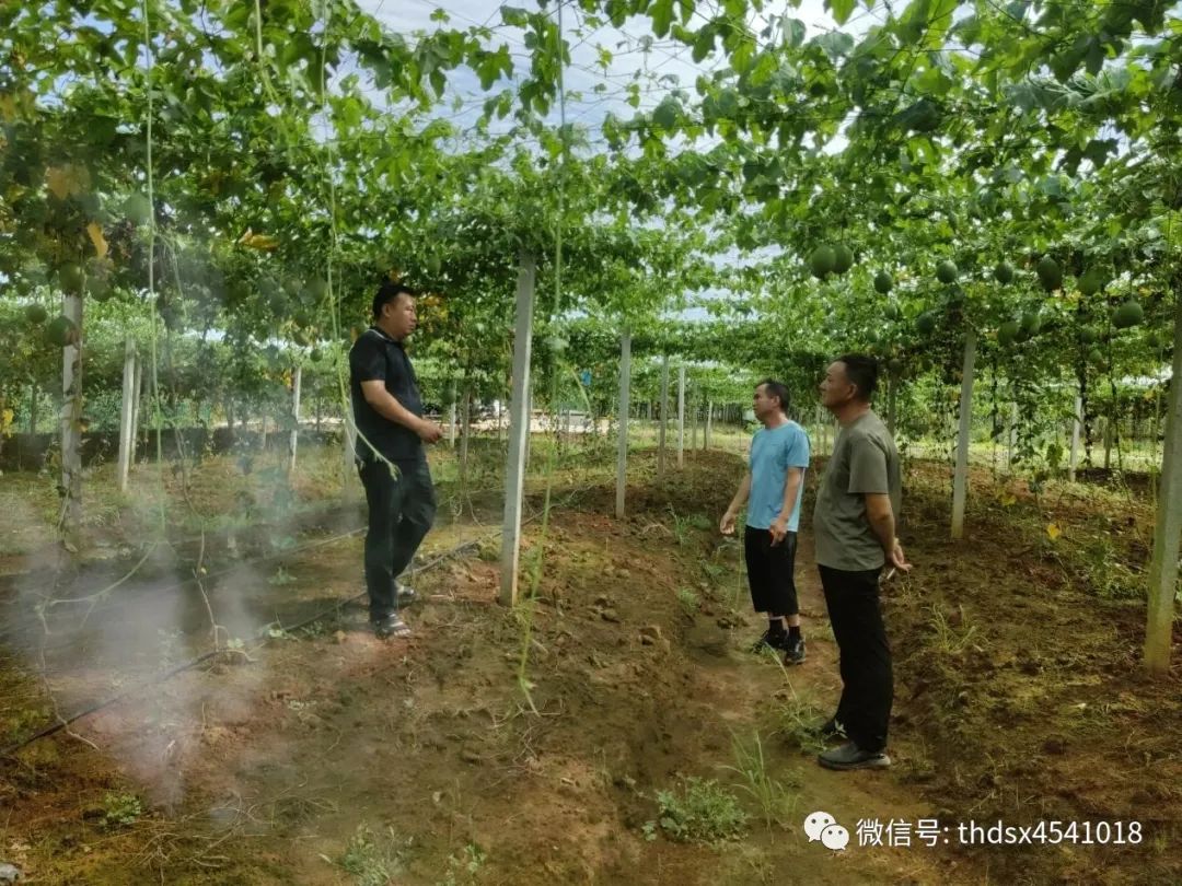 种植致富经_致富种植视频全集_靠种植致富了