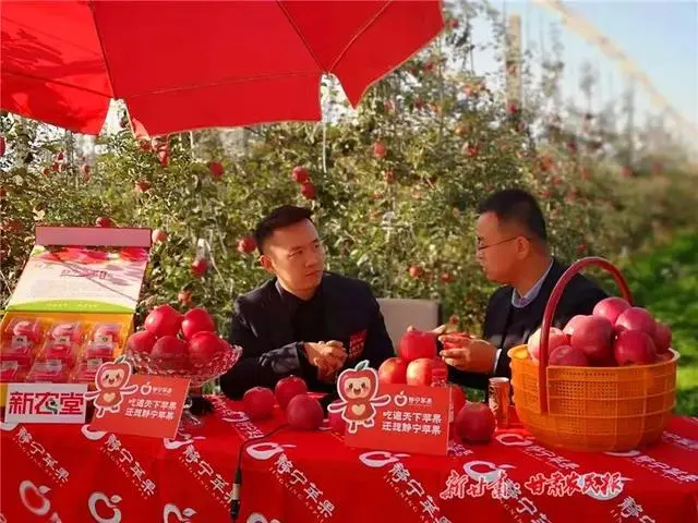 致富经甘肃花牛苹果_甘肃花牛苹果营养价值_甘肃苹果花牛图片