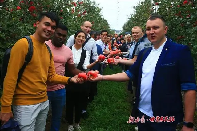 甘肃苹果花牛图片_致富经甘肃花牛苹果_甘肃花牛苹果营养价值