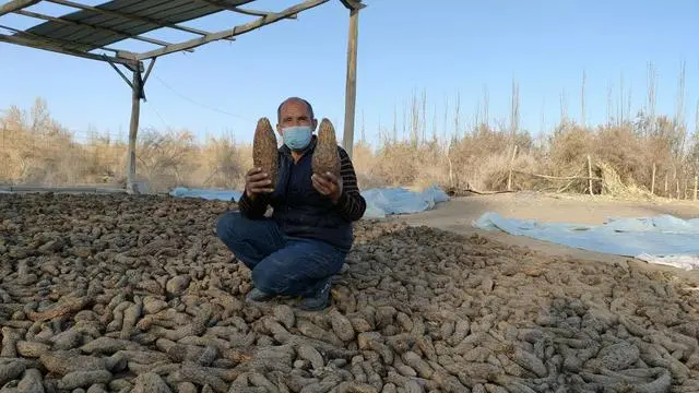 靠种植致富了_种植致富经_靠种植致富的农民